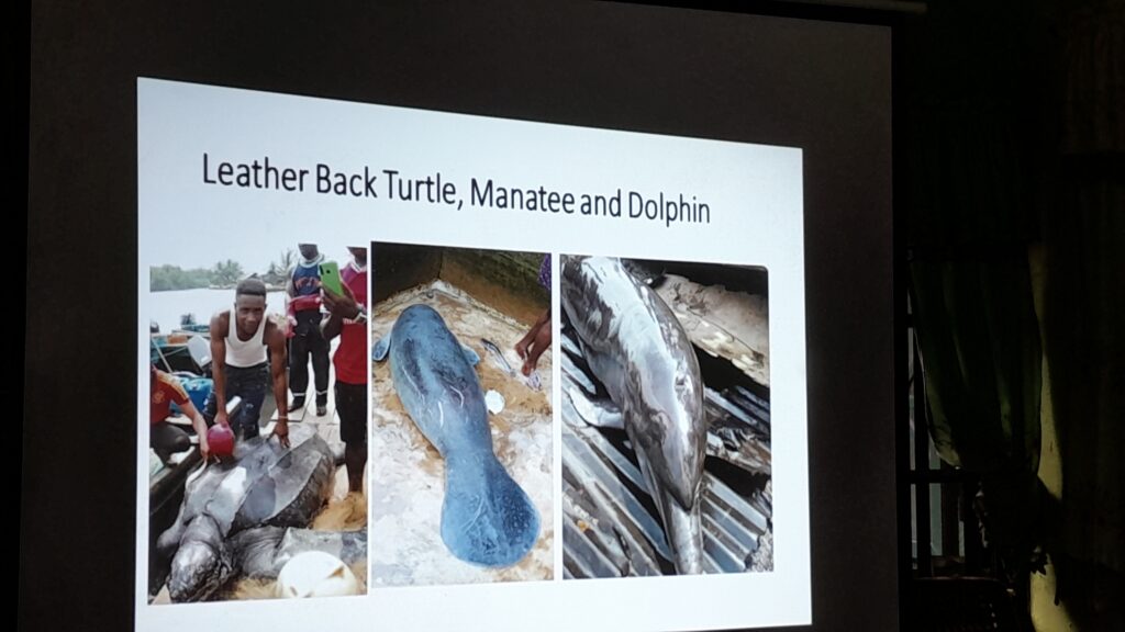 Day 2 of the inauguration and training of Atlantic humpback dolphin guardians