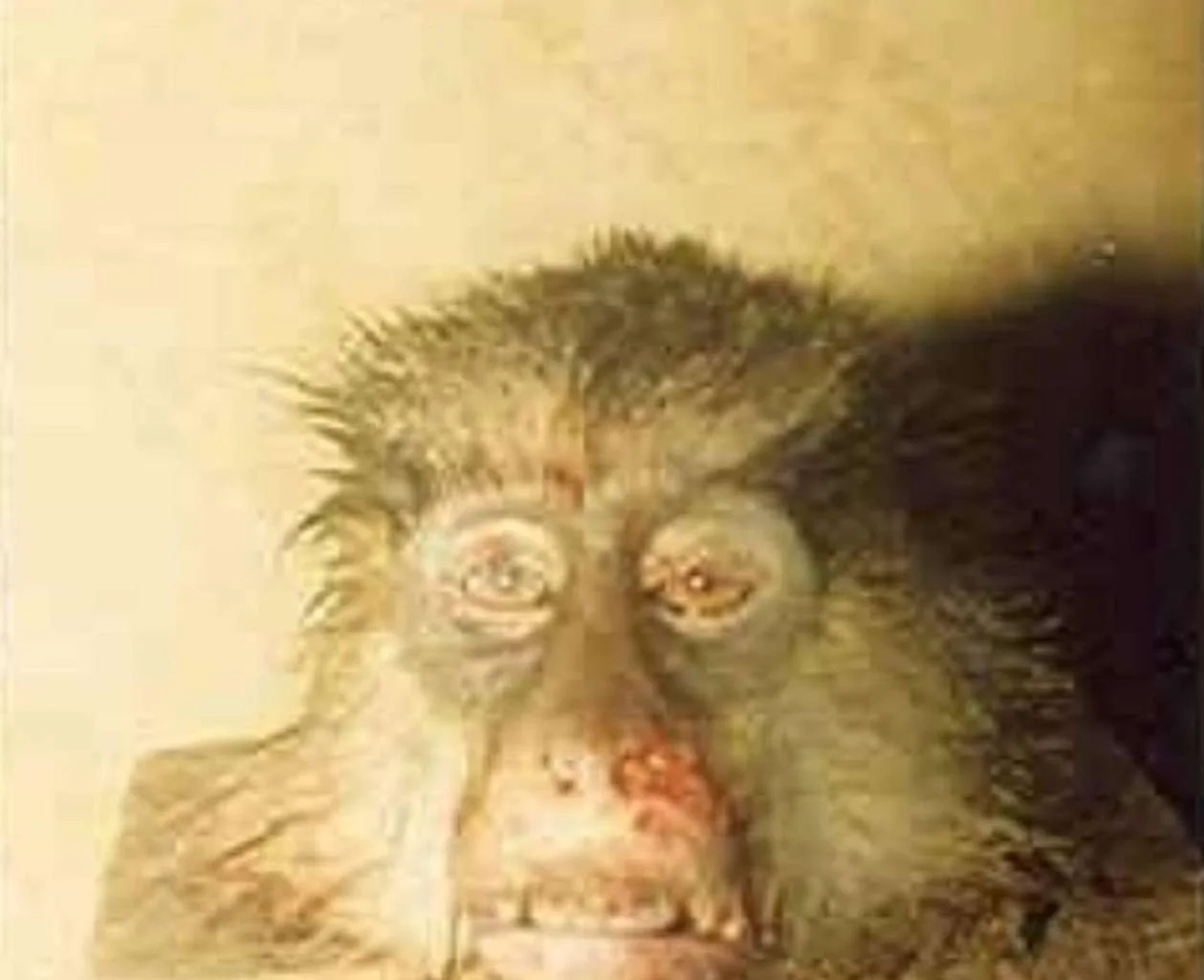 Anti-Bushmeat Campaign