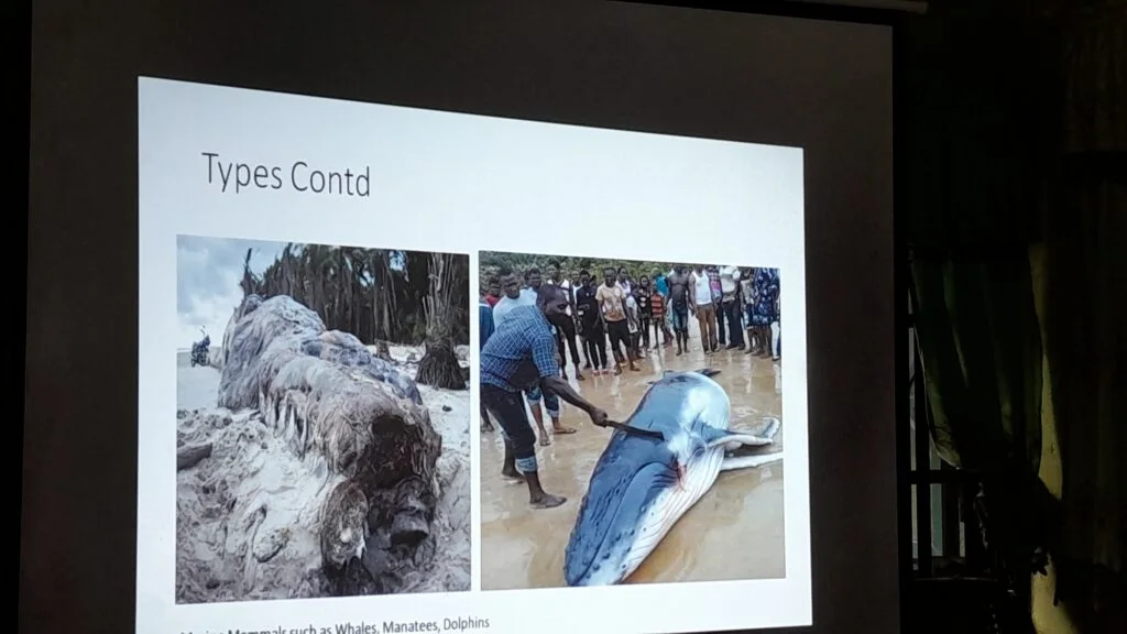 Day 2 of the inauguration and training of Atlantic humpback dolphin guardians