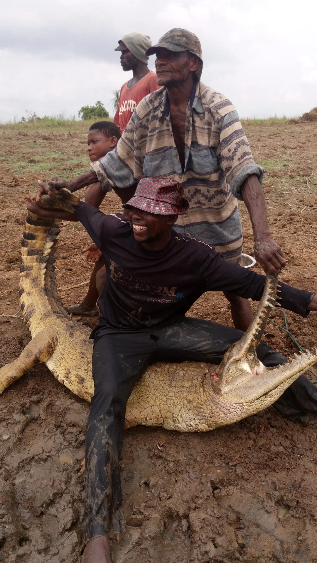 BPC_ First documented evidence of the continued existence slender snouted crocodile in Nigeria since year 2006_15 -11-2017