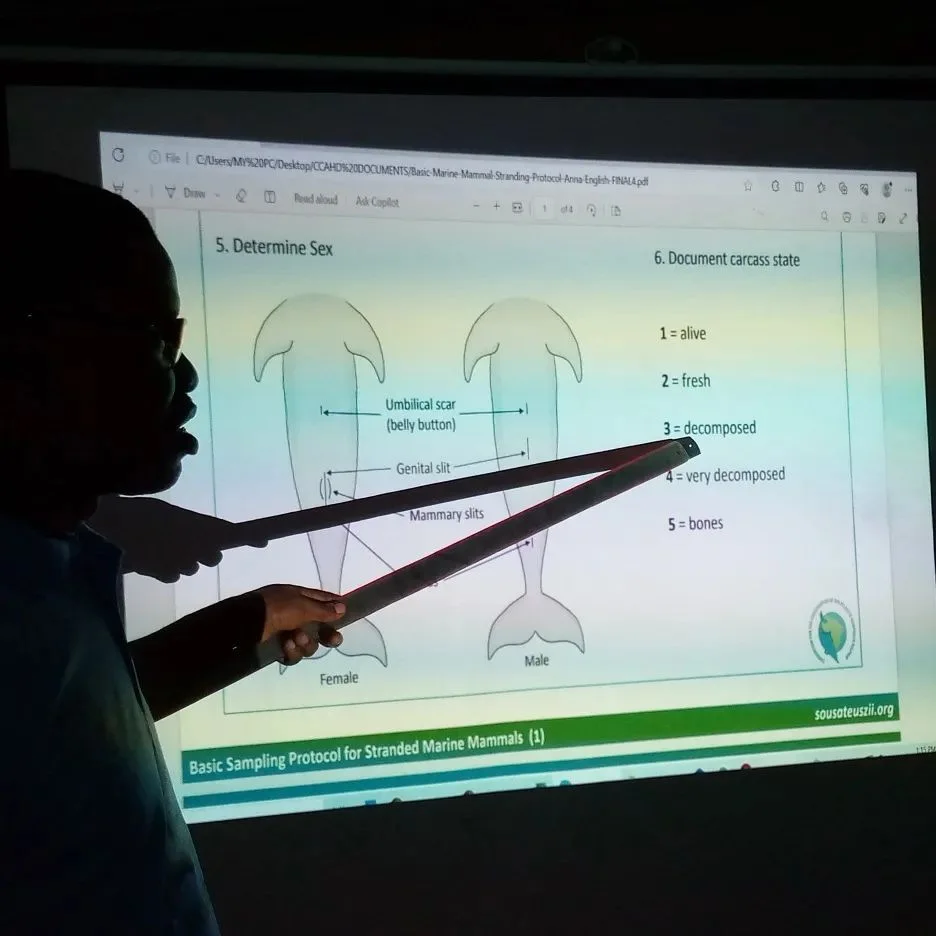 Day 3 of the inauguration and training of atlantic humpback dolphin guardians at the biodiversity preservation center