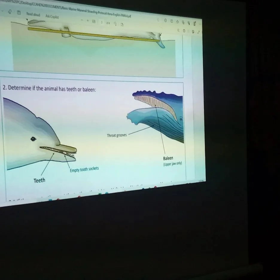 Day 3 of the inauguration and training of atlantic humpback dolphin guardians at the biodiversity preservation center