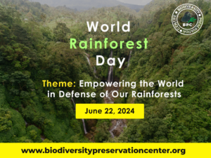World Rainforest Day 2024 - Empowering the World in Defense of Our Rainforests